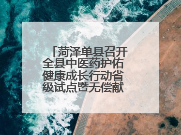 菏泽单县召开全县中医药护佑健康成长行动省级试点暨无偿献血工作会议