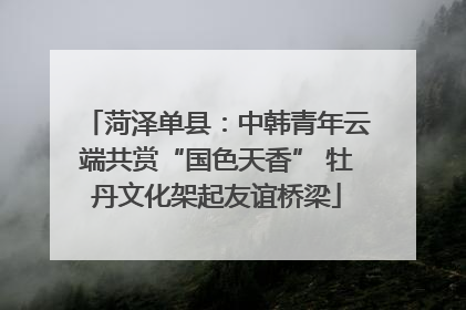 菏泽单县：中韩青年云端共赏“国色天香” 牡丹文化架起友谊桥梁