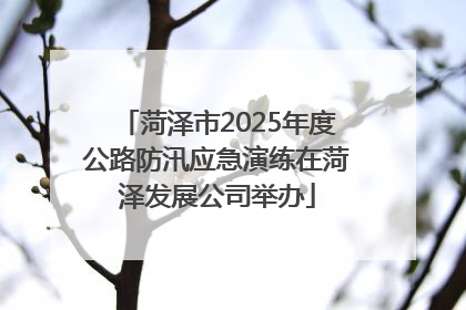 菏泽市2025年度公路防汛应急演练在菏泽发展公司举办