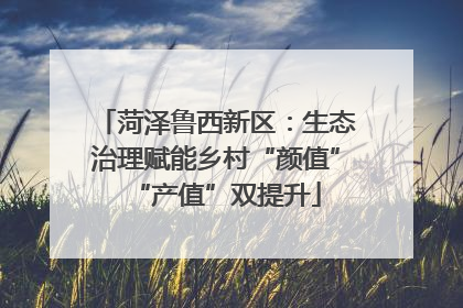 菏泽鲁西新区：生态治理赋能乡村“颜值”“产值”双提升