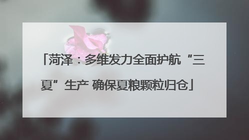 菏泽：多维发力全面护航“三夏”生产 确保夏粮颗粒归仓