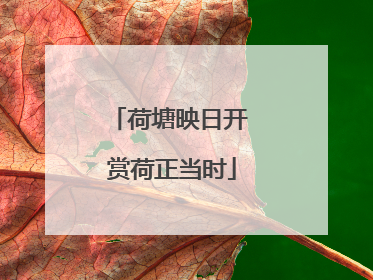荷塘映日开 赏荷正当时