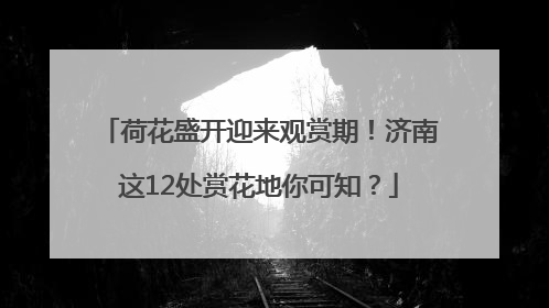 荷花盛开迎来观赏期！济南这12处赏花地你可知？
