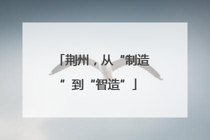 荆州，从“制造”到“智造”