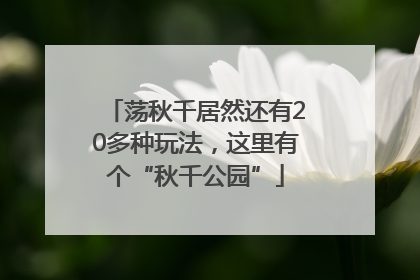 荡秋千居然还有20多种玩法，这里有个“秋千公园”