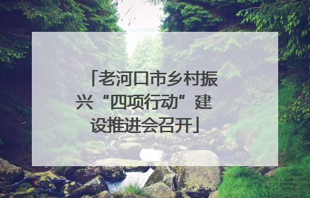 老河口市乡村振兴“四项行动”建设推进会召开
