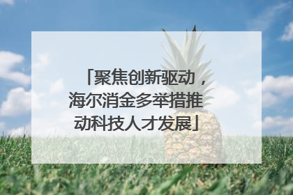 聚焦创新驱动，海尔消金多举措推动科技人才发展