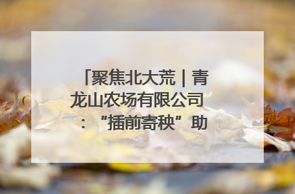 聚焦北大荒｜青龙山农场有限公司：“插前寄秧”助力农业节本增效