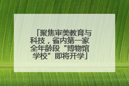 聚焦审美教育与科技，省内第一家全年龄段“博物馆学校”即将开学