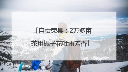 自贡荣县：2万多亩茶用栀子花吐露芳香