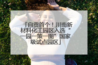 自贡首个！川南新材料化工园区入选“一园一策一图”国家级试点园区