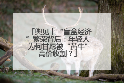 舆见丨“盲盒经济”繁荣背后：年轻人为何甘愿被“黄牛”高价收割？