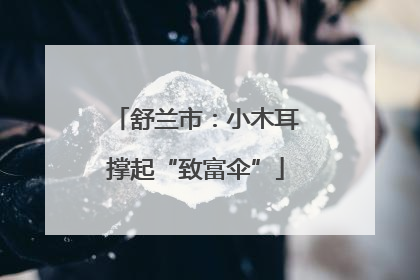 舒兰市：小木耳撑起“致富伞”
