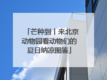 芒种到丨来北京动物园看动物们的夏日纳凉图鉴