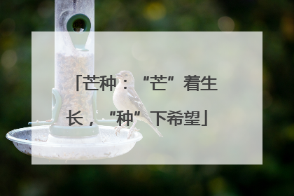 芒种：“芒”着生长，“种”下希望