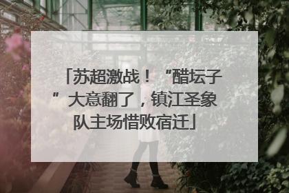 苏超激战！“醋坛子”大意翻了，镇江圣象队主场惜败宿迁