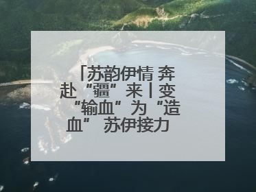 苏韵伊情 奔赴“疆”来丨变“输血”为“造血” 苏伊接力守护“心”生