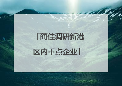 蔺佳调研新港区内重点企业