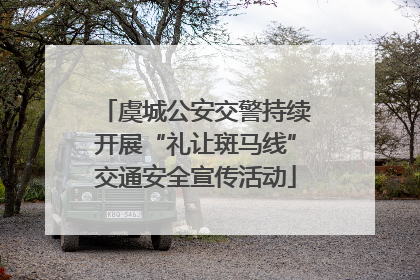 虞城公安交警持续开展“礼让斑马线”交通安全宣传活动