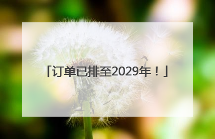 订单已排至2029年！