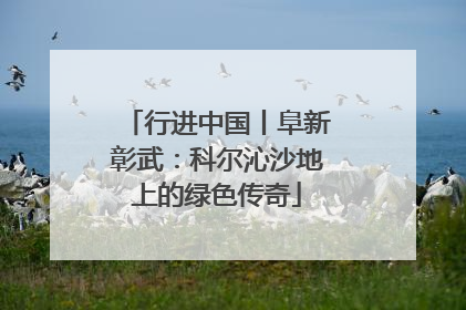 行进中国丨阜新彰武：科尔沁沙地上的绿色传奇