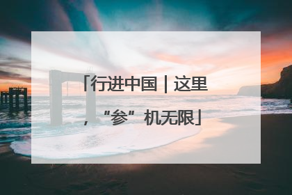 行进中国｜这里，“参”机无限