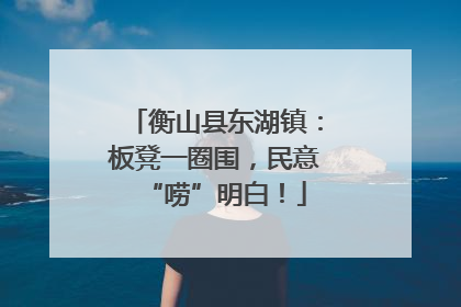 衡山县东湖镇：板凳一圈围，民意“唠”明白！