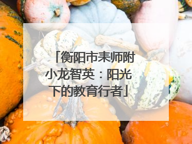 衡阳市耒师附小龙智英：阳光下的教育行者