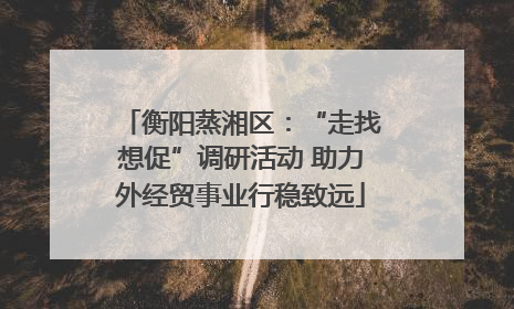 衡阳蒸湘区：“走找想促”调研活动 助力外经贸事业行稳致远