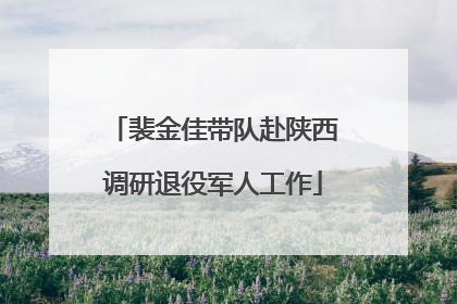 裴金佳带队赴陕西调研退役军人工作