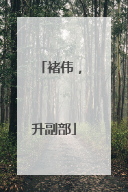褚伟，升副部