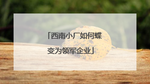西南小厂如何蝶变为领军企业
