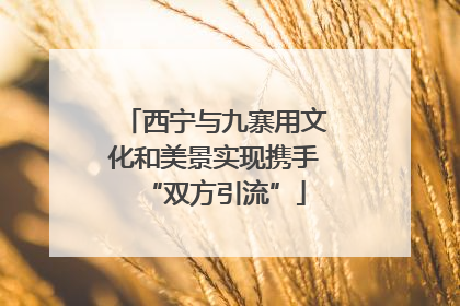 西宁与九寨用文化和美景实现携手“双方引流”