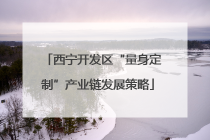 西宁开发区“量身定制”产业链发展策略