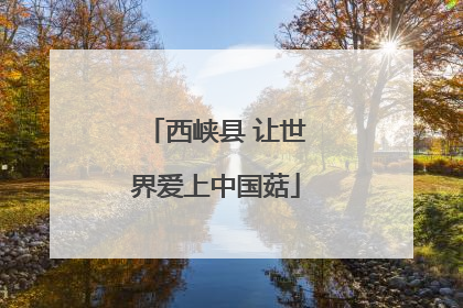 西峡县 让世界爱上中国菇