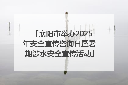 襄阳市举办2025年安全宣传咨询日暨暑期涉水安全宣传活动