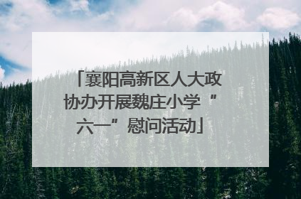 襄阳高新区人大政协办开展魏庄小学“六一”慰问活动