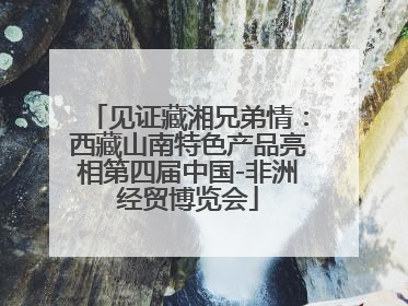 见证藏湘兄弟情：西藏山南特色产品亮相第四届中国-非洲经贸博览会