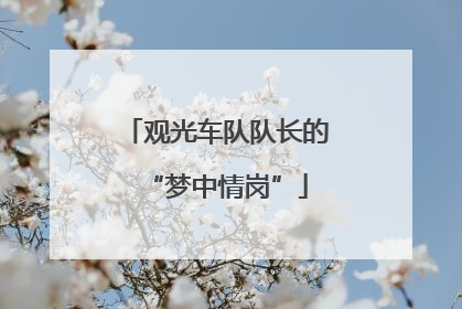 观光车队队长的“梦中情岗”