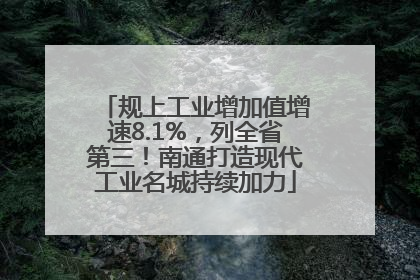 规上工业增加值增速8.1%，列全省第三！南通打造现代工业名城持续加力