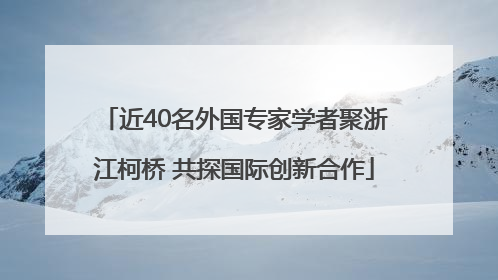 近40名外国专家学者聚浙江柯桥 共探国际创新合作