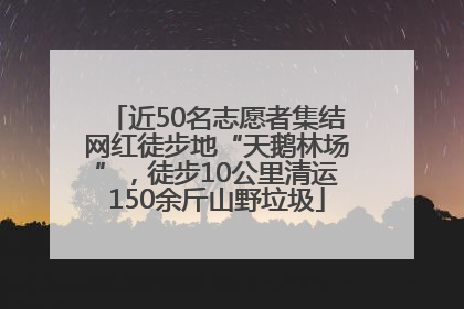 近50名志愿者集结网红徒步地“天鹅林场”，徒步10公里清运150余斤山野垃圾