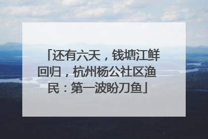 还有六天，钱塘江鲜回归，杭州杨公社区渔民：第一波盼刀鱼