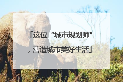 这位“城市规划师”，营造城市美好生活