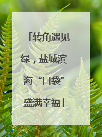 转角遇见绿，盐城滨海“口袋”盛满幸福