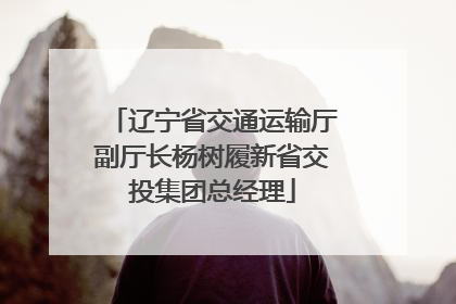 辽宁省交通运输厅副厅长杨树履新省交投集团总经理