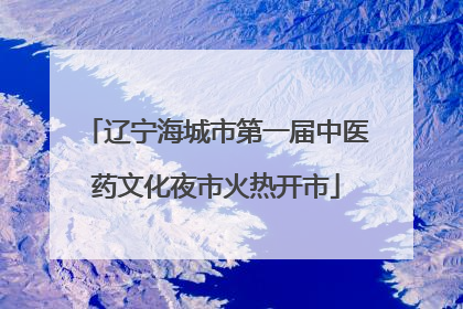 辽宁海城市第一届中医药文化夜市火热开市