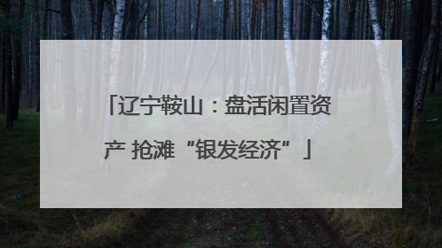 辽宁鞍山：盘活闲置资产 抢滩“银发经济”