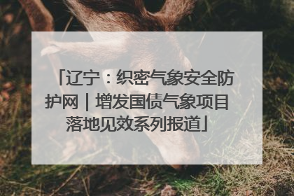 辽宁：织密气象安全防护网｜增发国债气象项目落地见效系列报道