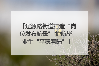 辽源路街道打造“岗位发布航母” 护航毕业生“平稳着陆”